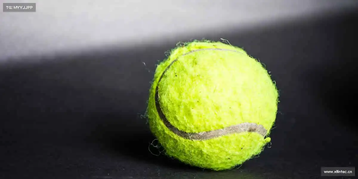 南宫NG28🌞阳光、汗水、笑容，运动让生活自带高光！